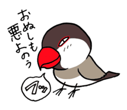"Daily Java sparrow" With bird 02 sticker #774605