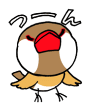 "Daily Java sparrow" With bird 02 sticker #774608