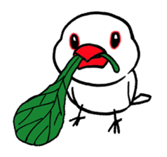"Daily Java sparrow" With bird 02 sticker #774609