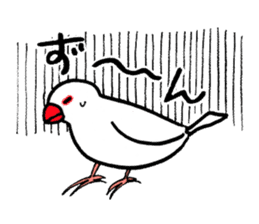 "Daily Java sparrow" With bird 02 sticker #774610