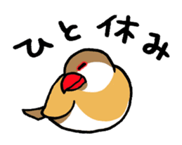"Daily Java sparrow" With bird 02 sticker #774612