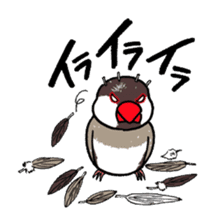 "Daily Java sparrow" With bird 02 sticker #774613