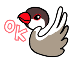 "Daily Java sparrow" With bird 02 sticker #774614