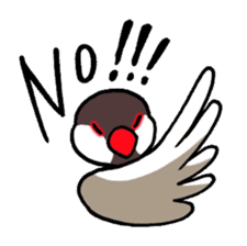 "Daily Java sparrow" With bird 02 sticker #774615
