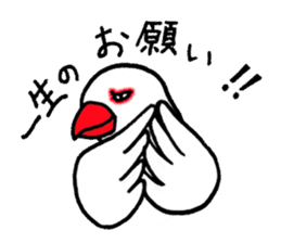 "Daily Java sparrow" With bird 02 sticker #774616