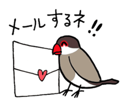 "Daily Java sparrow" With bird 02 sticker #774617