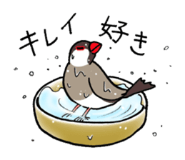 "Daily Java sparrow" With bird 02 sticker #774622