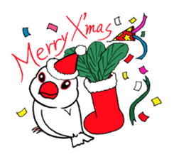 "Daily Java sparrow" With bird 02 sticker #774625