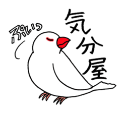 "Daily Java sparrow" With bird 02 sticker #774628