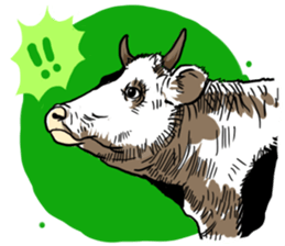 3 Pigs 1 Cow sticker #779038