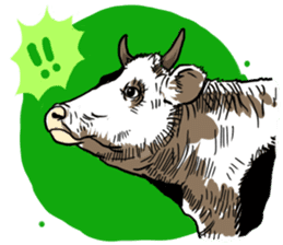 3 Pigs 1 Cow sticker #779038
