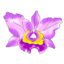 I love Thailand sticker #782296