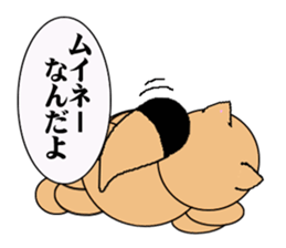 Raccoon dog of the entertainment world sticker #782405