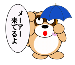 Raccoon dog of the entertainment world sticker #782408