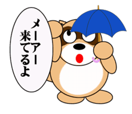 Raccoon dog of the entertainment world sticker #782408