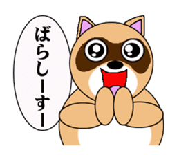 Raccoon dog of the entertainment world sticker #782419