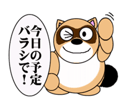 Raccoon dog of the entertainment world sticker #782426