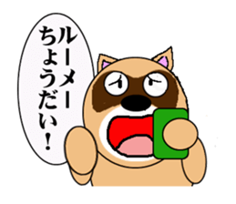 Raccoon dog of the entertainment world sticker #782427