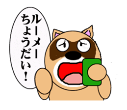 Raccoon dog of the entertainment world sticker #782427