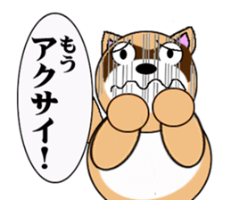 Raccoon dog of the entertainment world sticker #782430