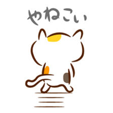 Cat in Hiroshima sticker #785201