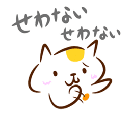 Cat in Hiroshima sticker #785207