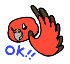 "Daily Bourke's Parrot" With bird 03 sticker #788081