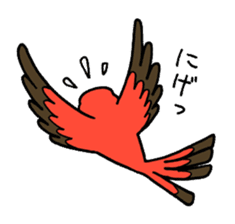 "Daily Bourke's Parrot" With bird 03 sticker #788084