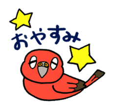 "Daily Bourke's Parrot" With bird 03 sticker #788086