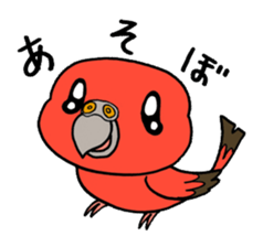 "Daily Bourke's Parrot" With bird 03 sticker #788087