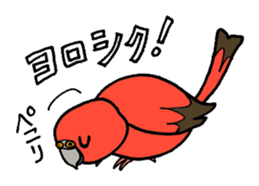 "Daily Bourke's Parrot" With bird 03 sticker #788089