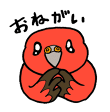 "Daily Bourke's Parrot" With bird 03 sticker #788090