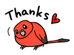 "Daily Bourke's Parrot" With bird 03 sticker #788091