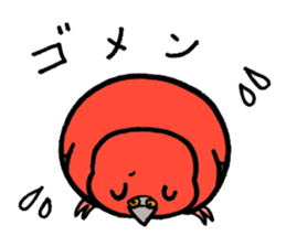 "Daily Bourke's Parrot" With bird 03 sticker #788093