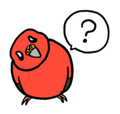 "Daily Bourke's Parrot" With bird 03 sticker #788094