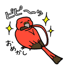 "Daily Bourke's Parrot" With bird 03 sticker #788097