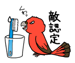 "Daily Bourke's Parrot" With bird 03 sticker #788099