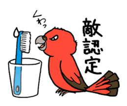"Daily Bourke's Parrot" With bird 03 sticker #788099
