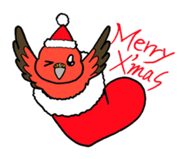 "Daily Bourke's Parrot" With bird 03 sticker #788103