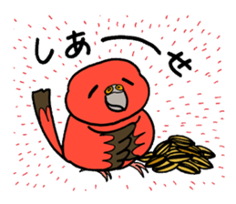 "Daily Bourke's Parrot" With bird 03 sticker #788104