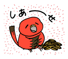 "Daily Bourke's Parrot" With bird 03 sticker #788104