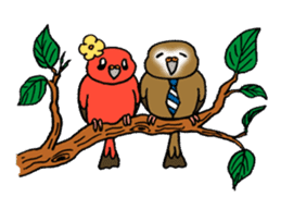 "Daily Bourke's Parrot" With bird 03 sticker #788105