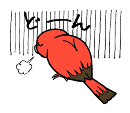 "Daily Bourke's Parrot" With bird 03 sticker #788106