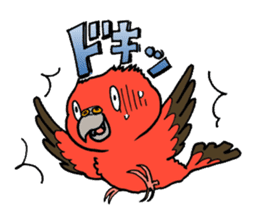 "Daily Bourke's Parrot" With bird 03 sticker #788109