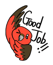 "Daily Bourke's Parrot" With bird 03 sticker #788113