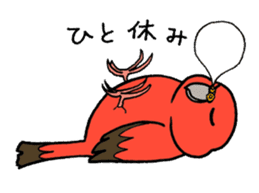 "Daily Bourke's Parrot" With bird 03 sticker #788118