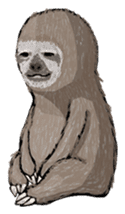 Sloth-A Lan's day life sticker #790571