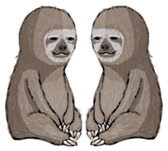 Sloth-A Lan's day life sticker #790572