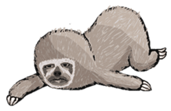 Sloth-A Lan's day life sticker #790573