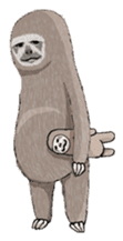 Sloth-A Lan's day life sticker #790575